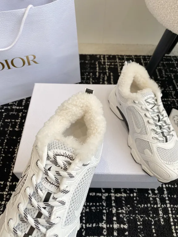 Dior Shoe 